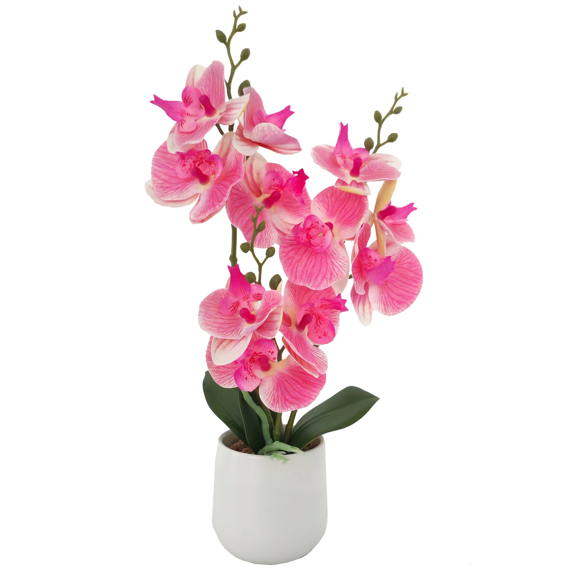 16" Dark Pink & White Orchid in Ceramic Pot by Ashland®